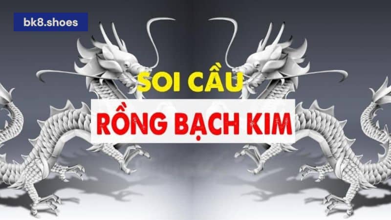 BK8 - Địa chỉ soi Rồng bạch kim uy tín